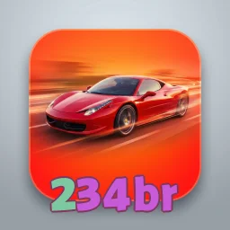 234br