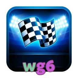wg6